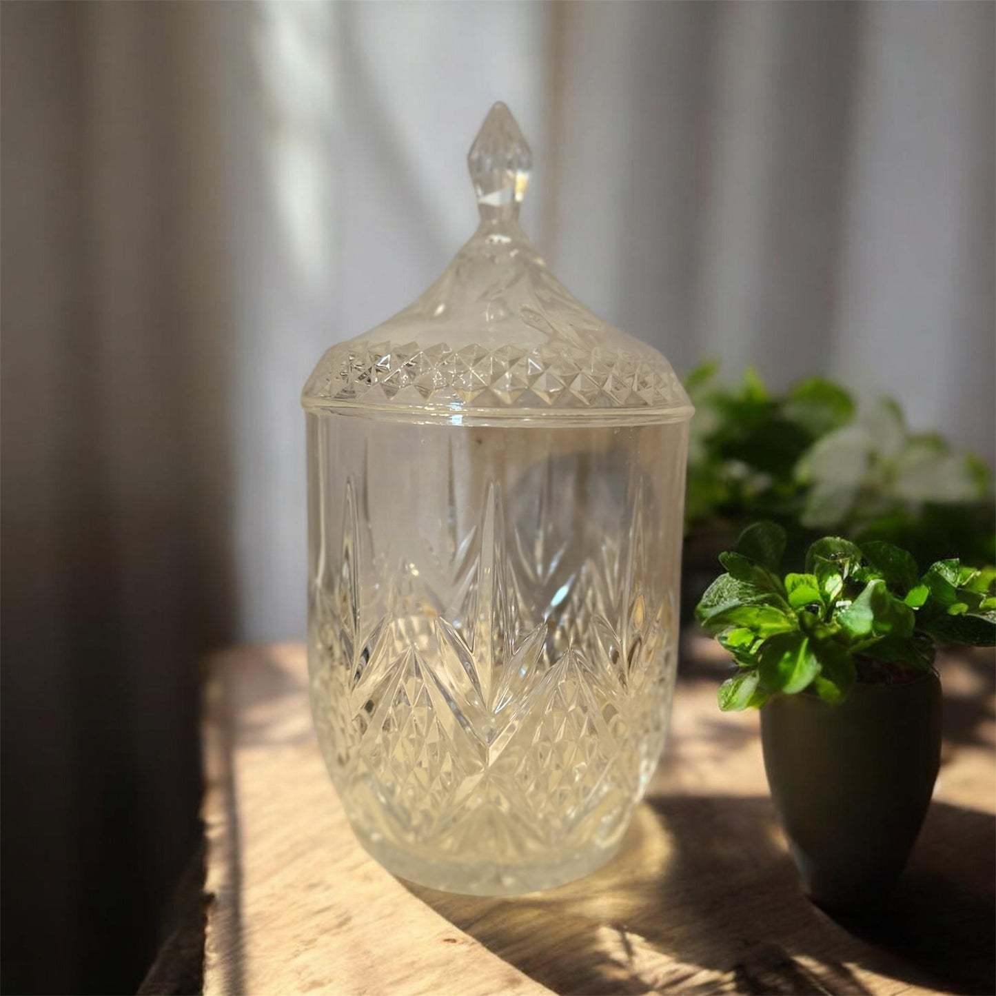 Crystal Savanna 9.75" Biscuit Barrel Jar