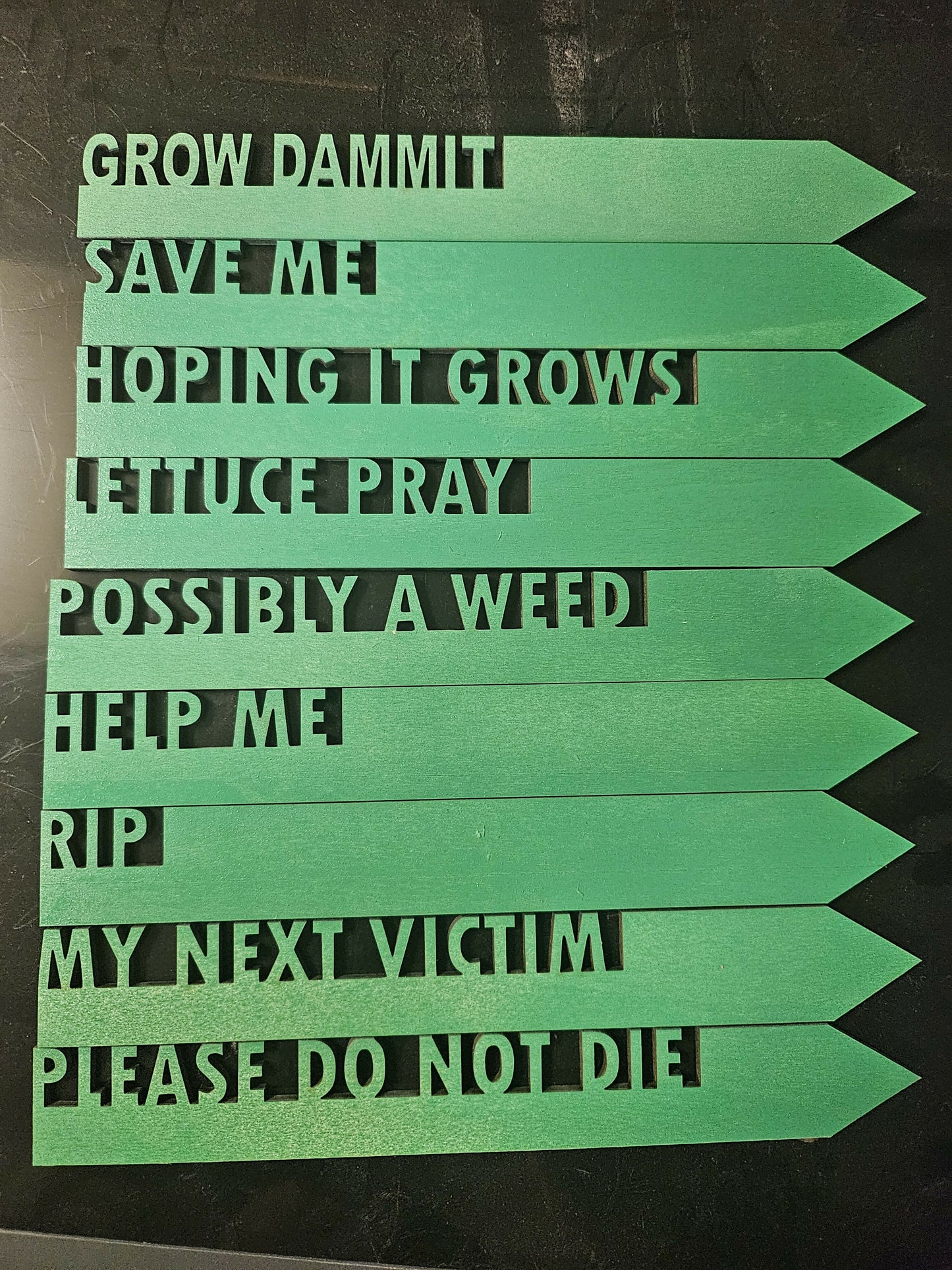 1000018202