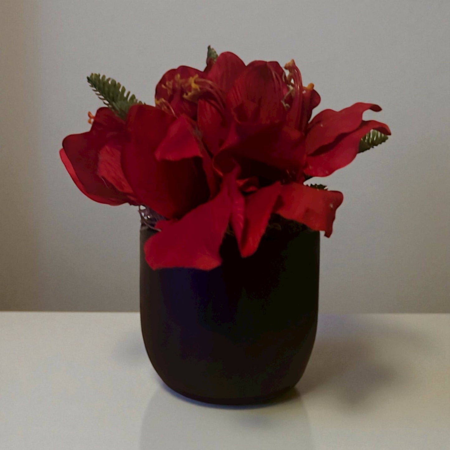 Potted Poinsettia