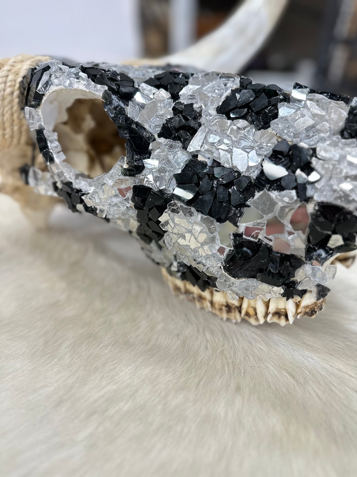 Bedazzled Cow Skull