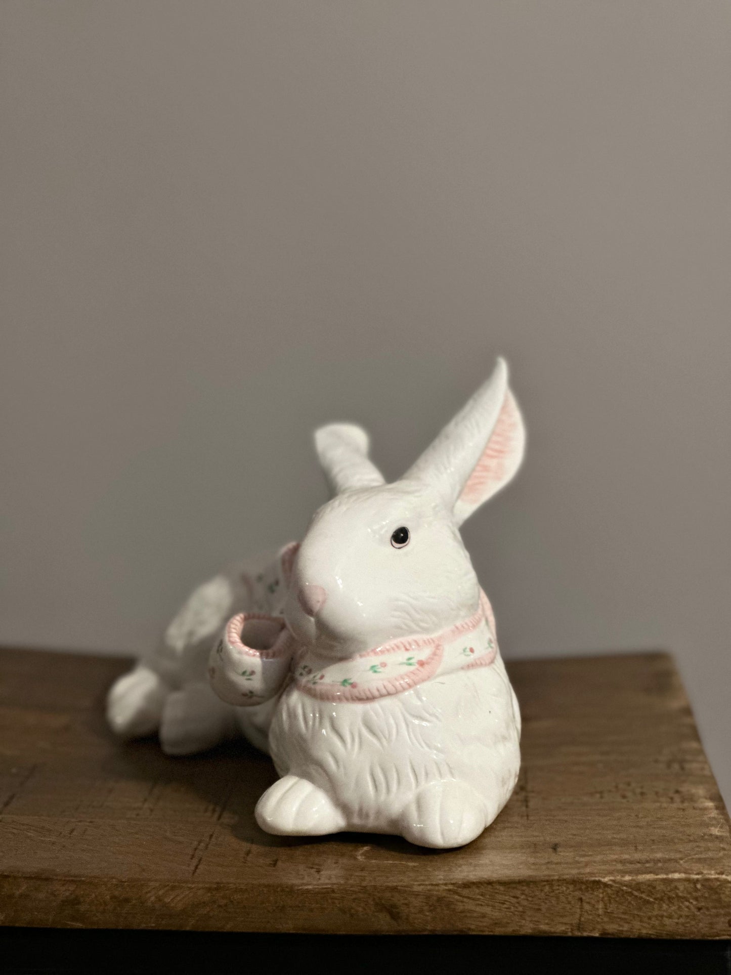 Bunny on a Break