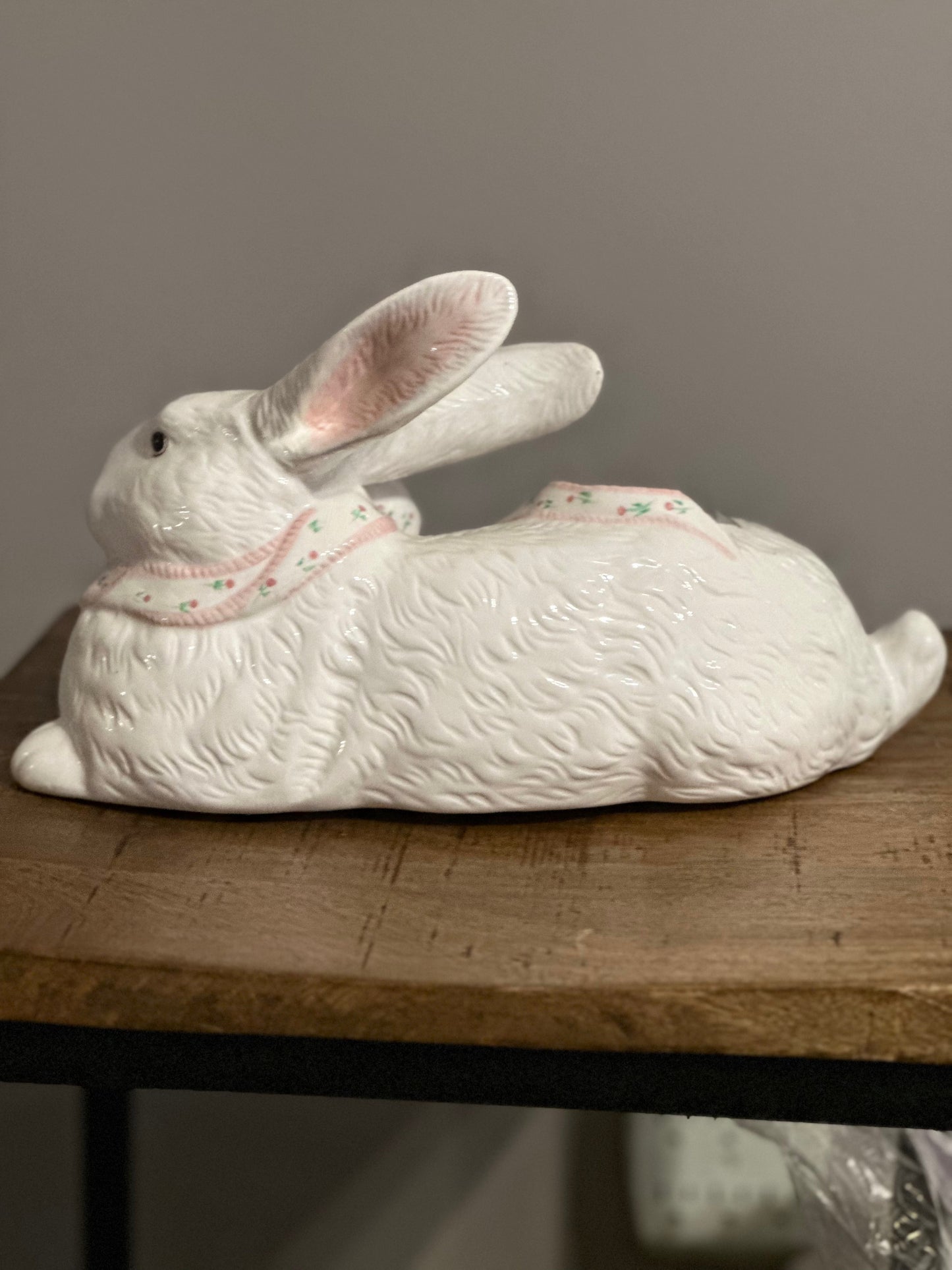 Bunny on a Break
