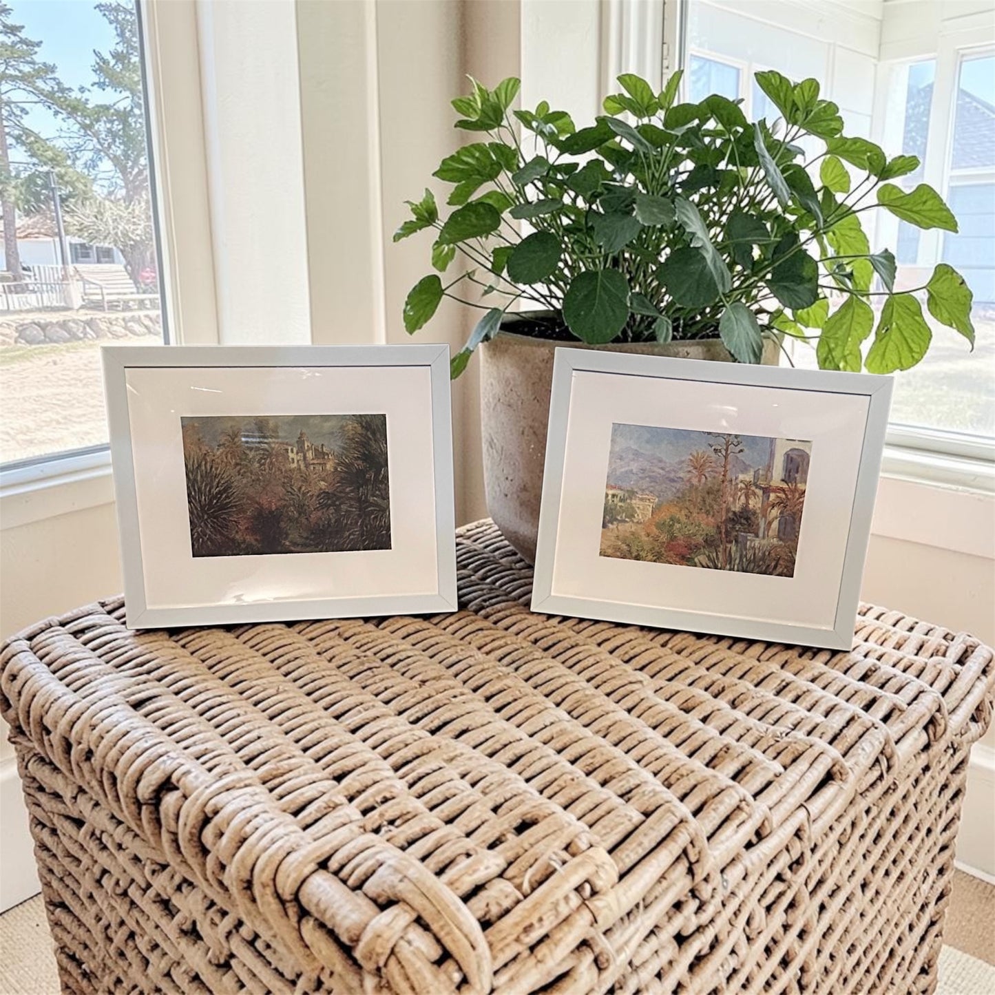 "The Moreno Garden at Bordighera" reproduction by: Monet
