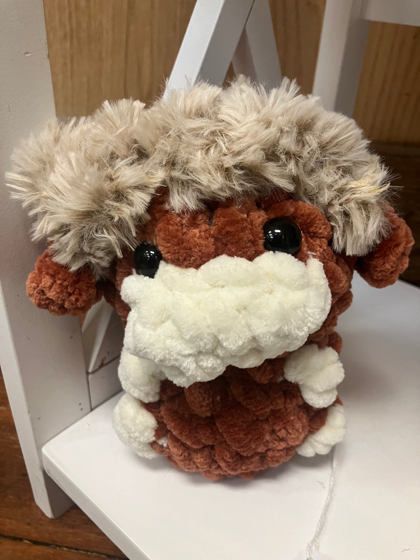 Highland Cow