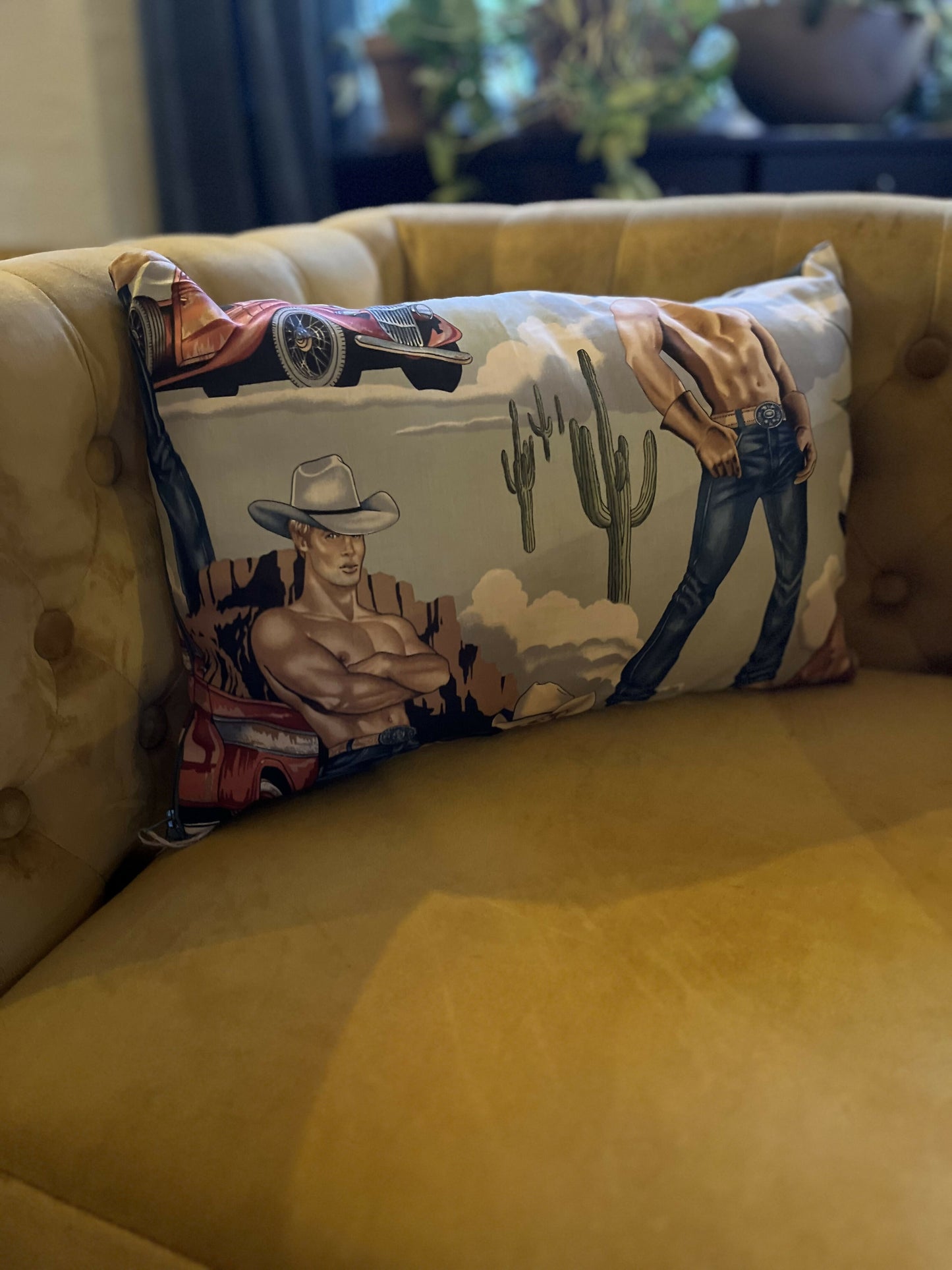 cowboypillow3