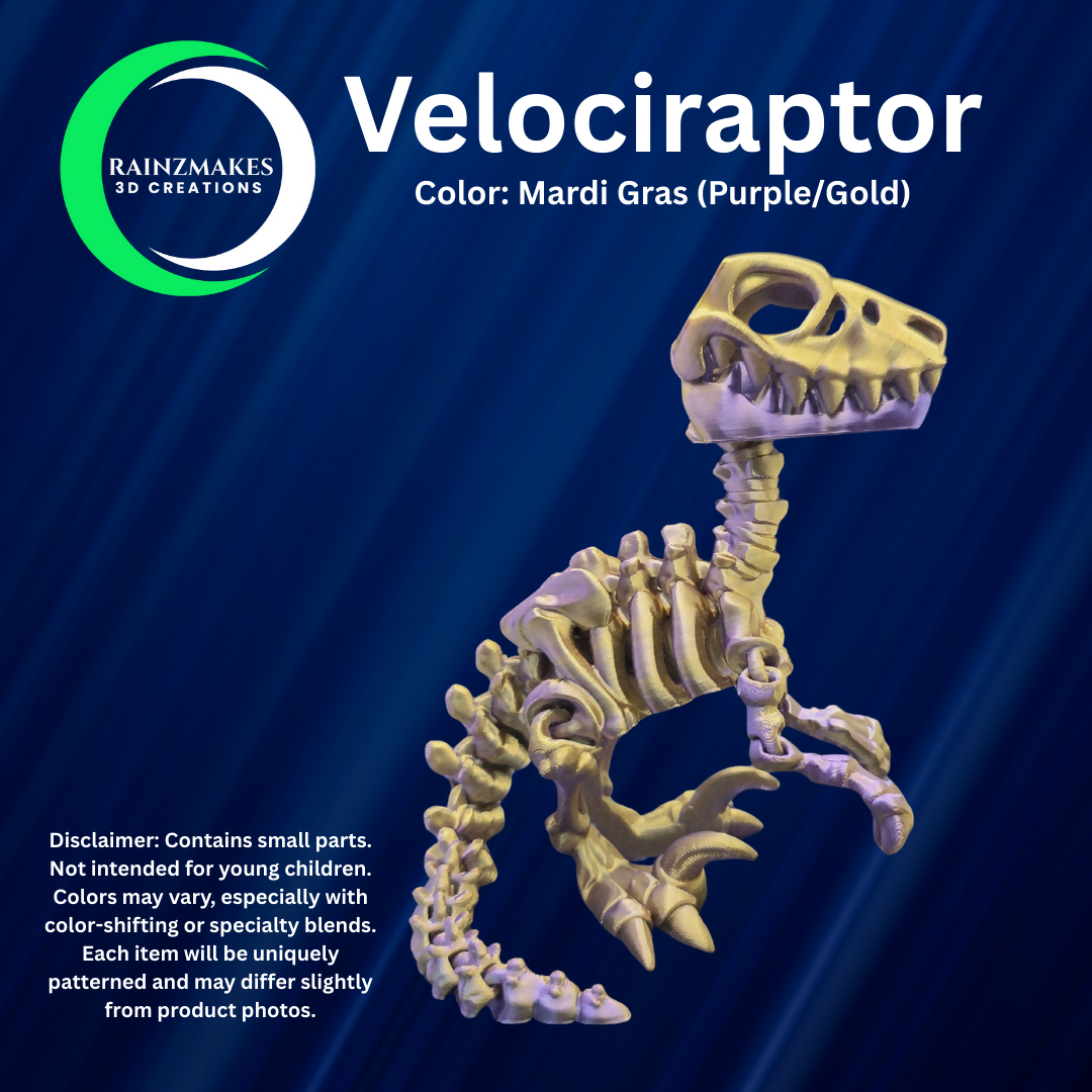 Velociraptor (4)