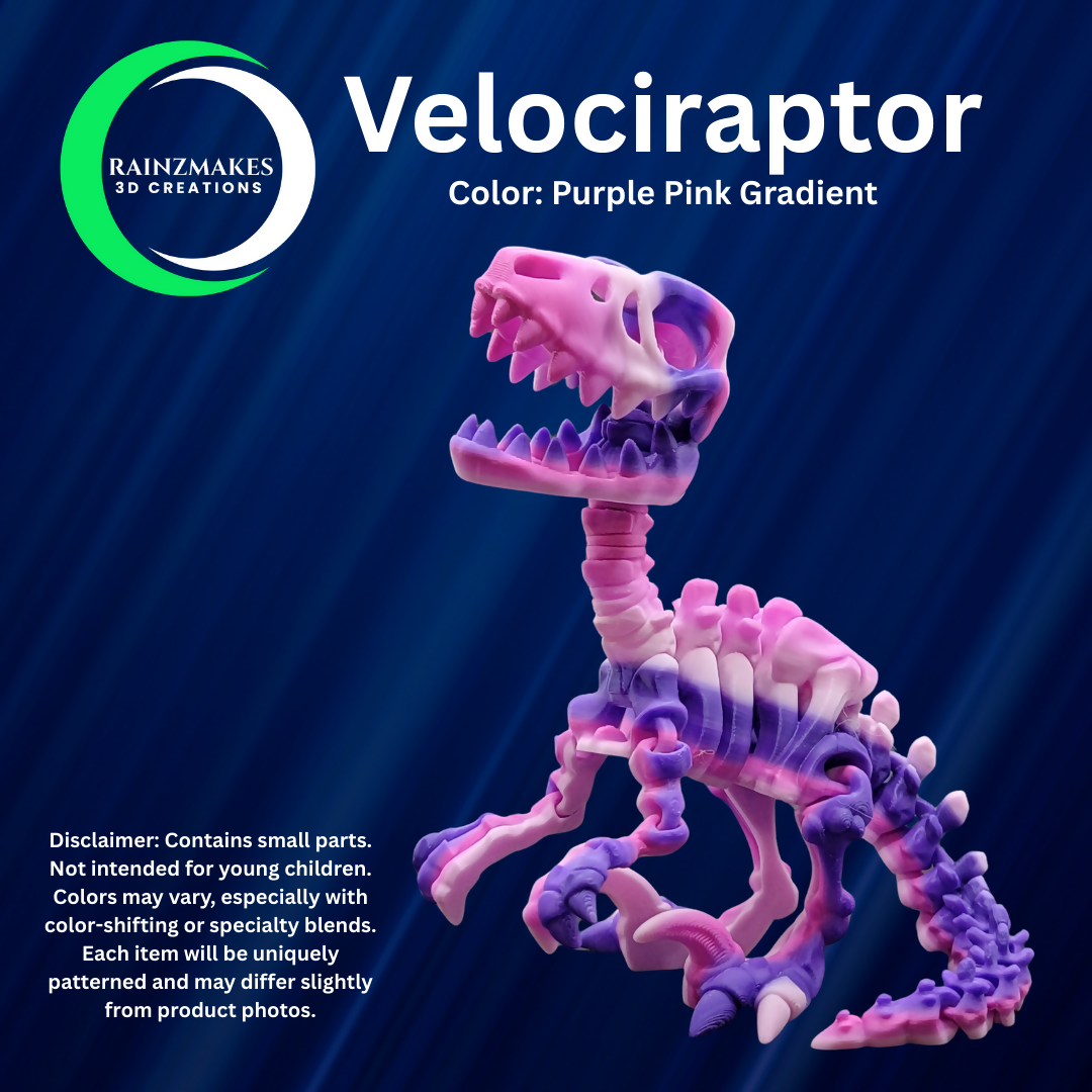 Velociraptor (2)