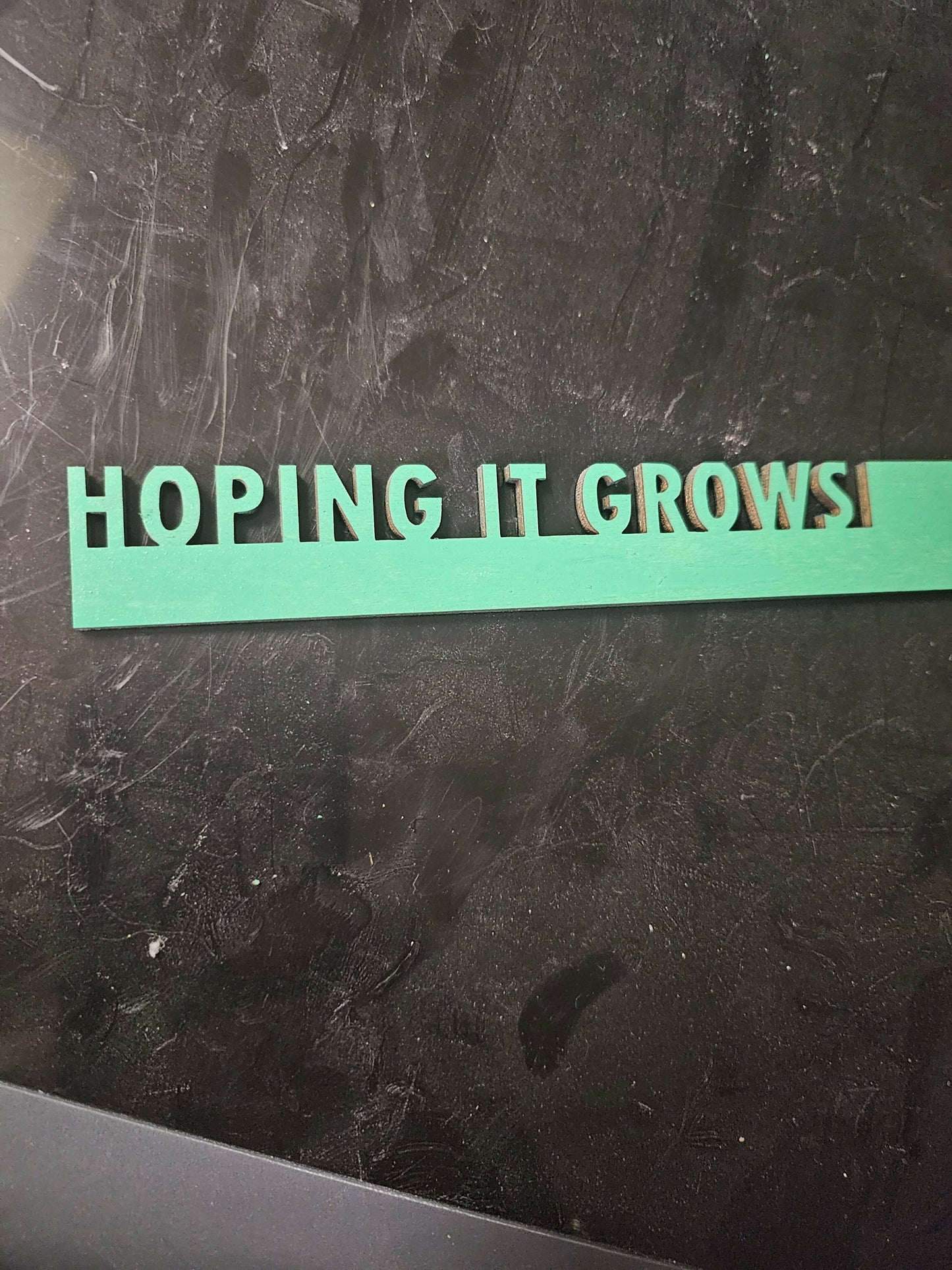 1000018210