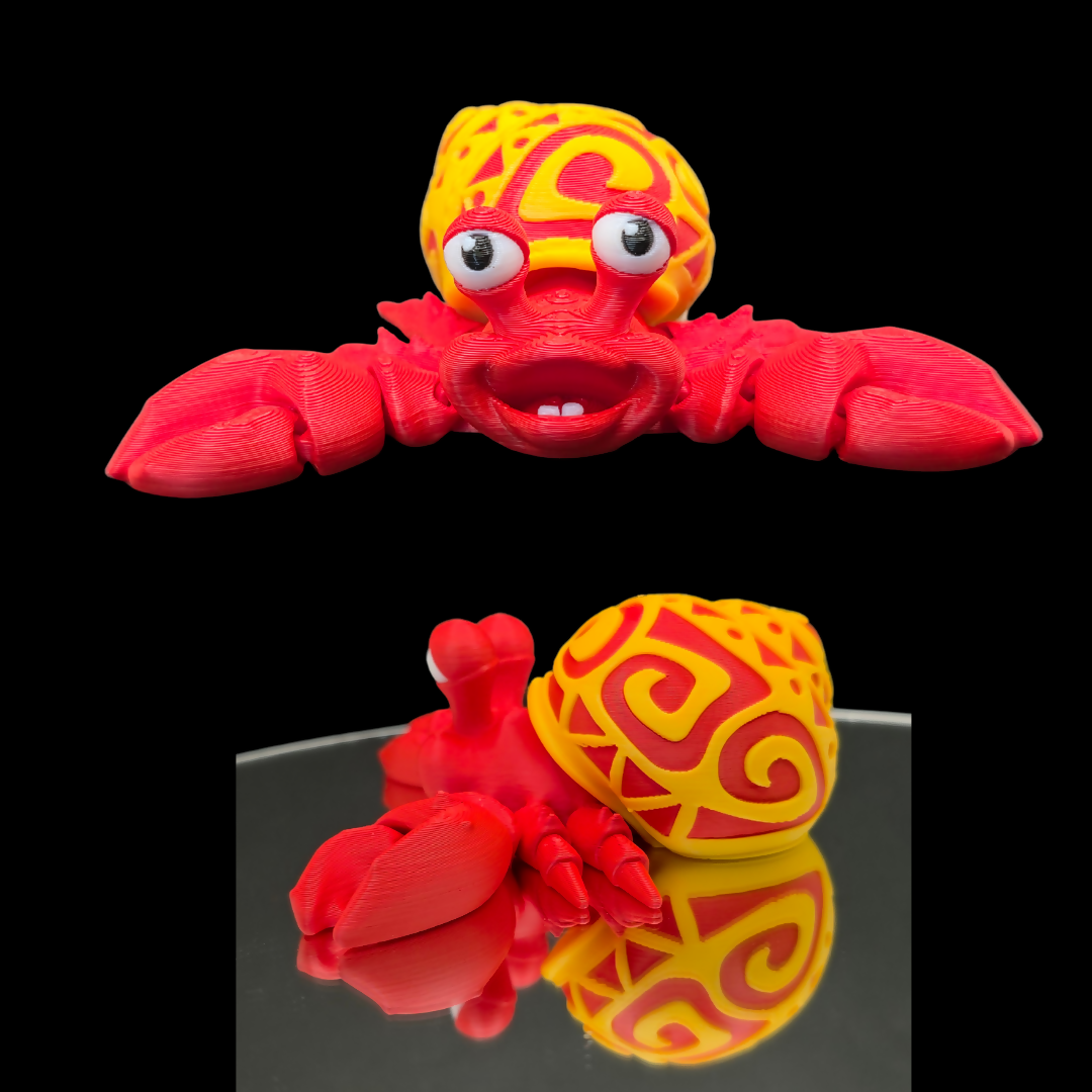 Tattooed Hermit Crab