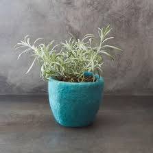 The Plant Shop