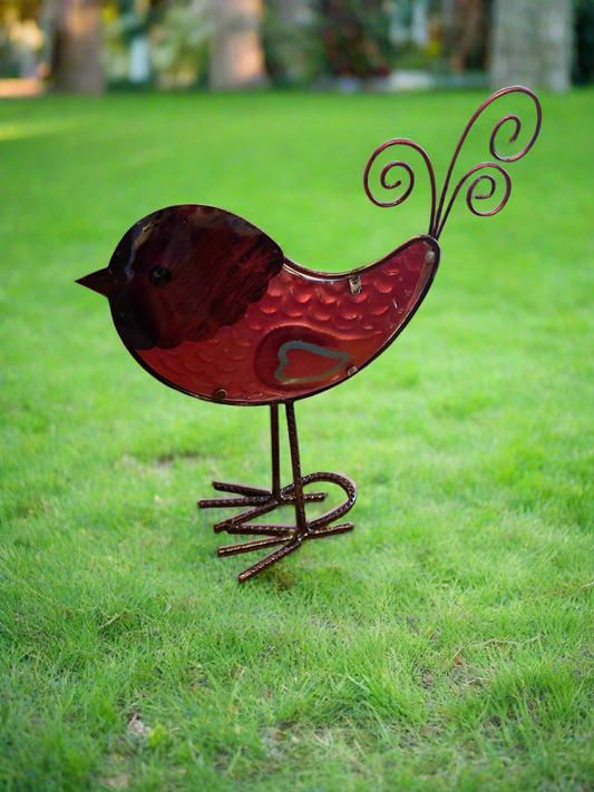 Garden Bird