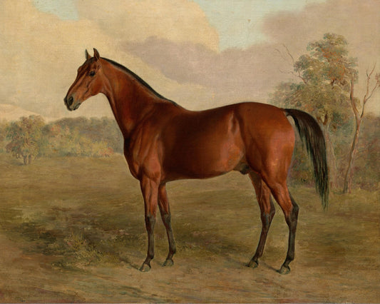 Vintage Horse Print- 8" x 10"