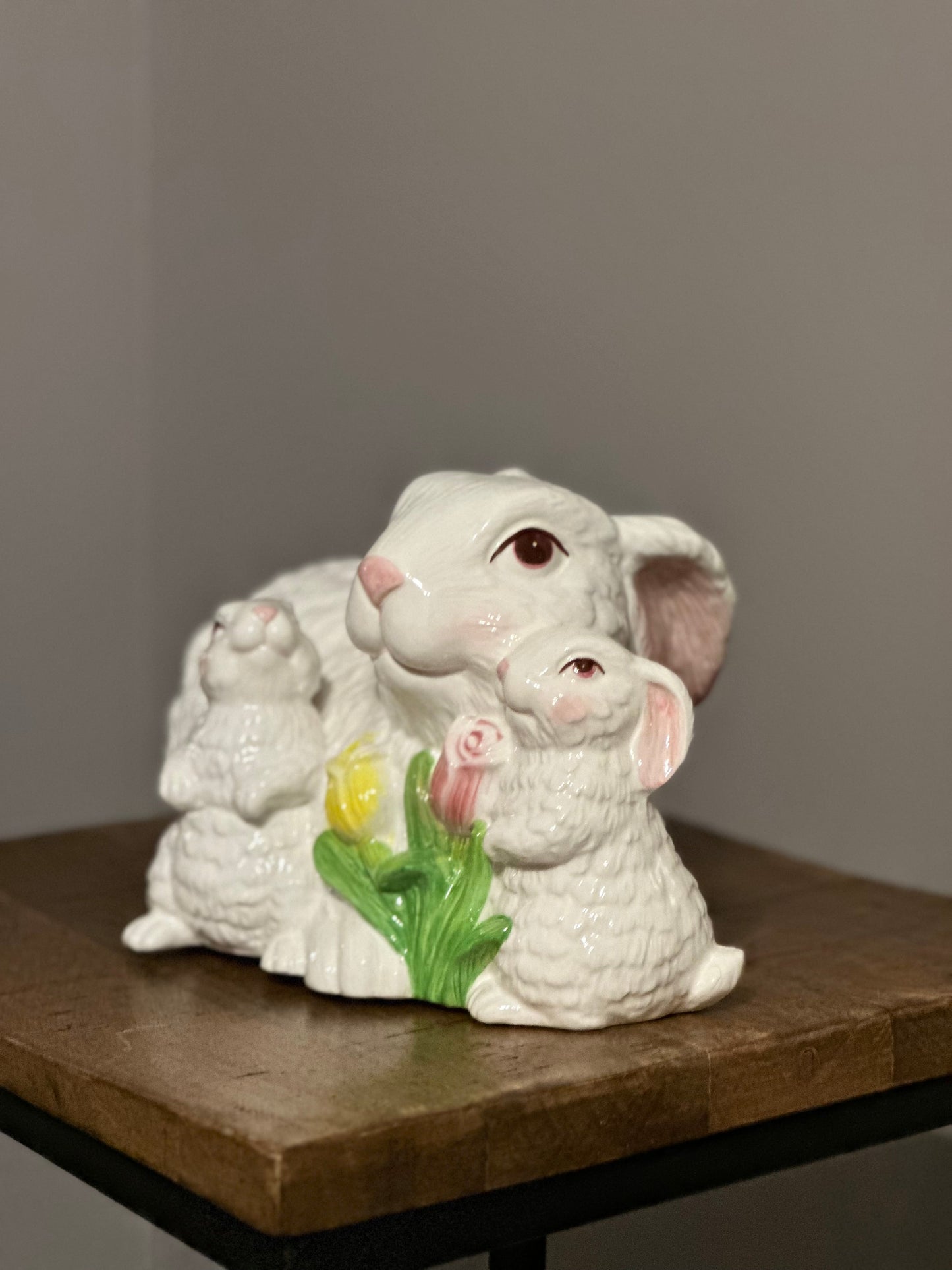 Mother Bunny & Babies