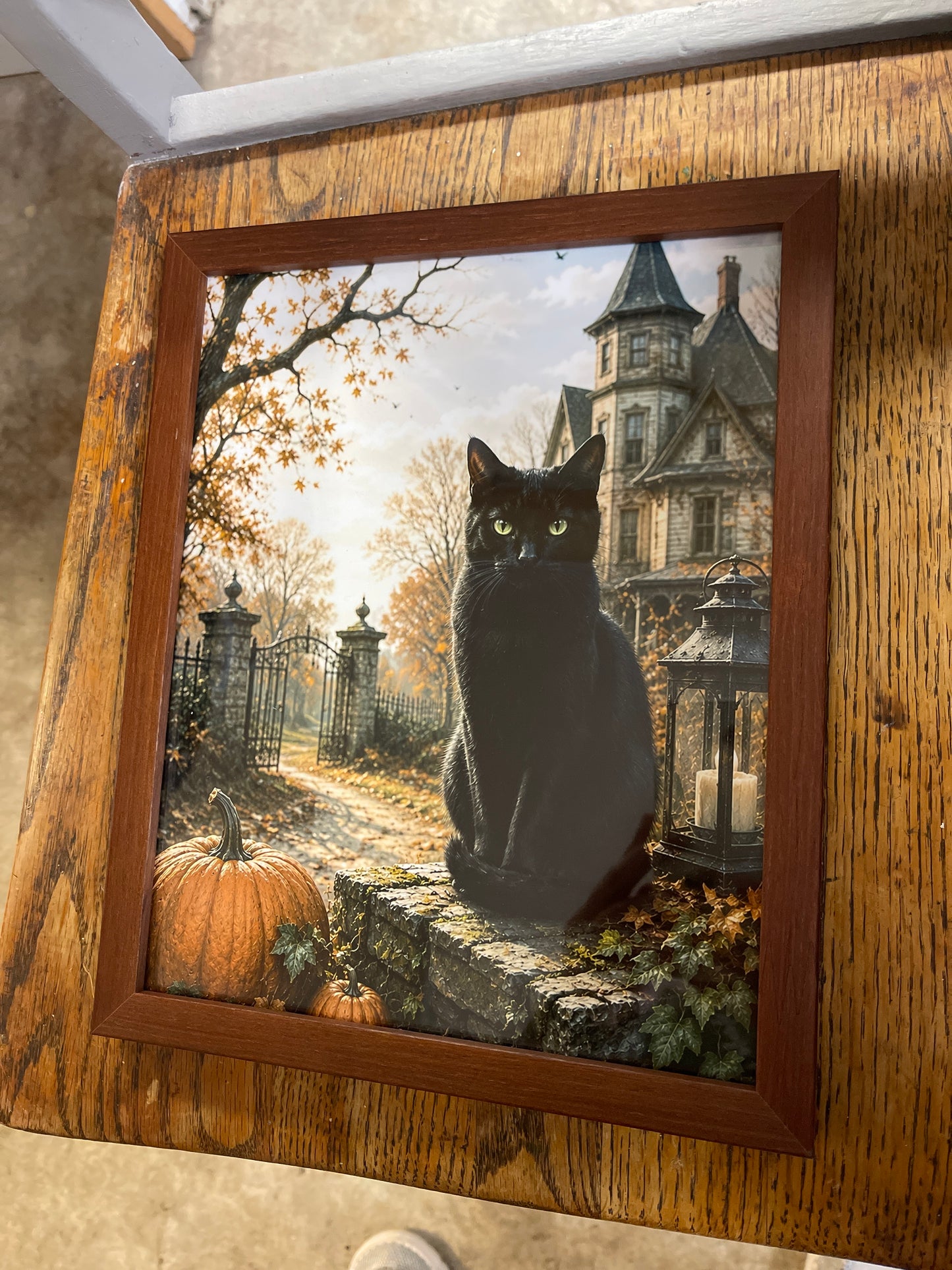 Harvest cat 8x10