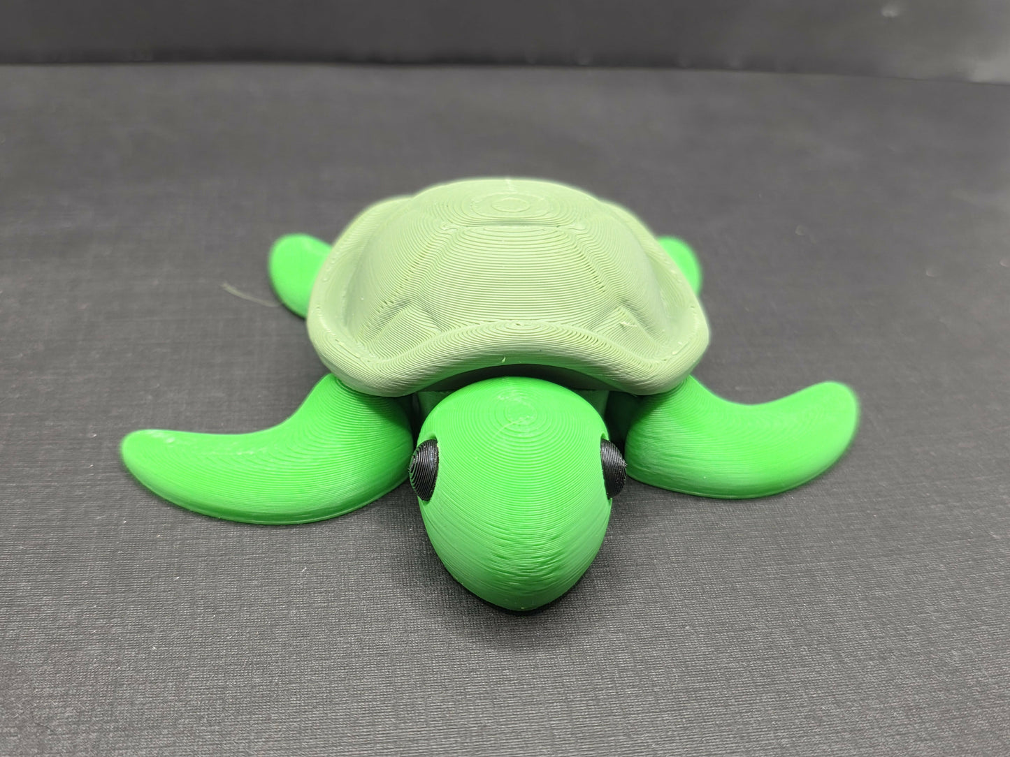 Rest and Nest Slow Turtle