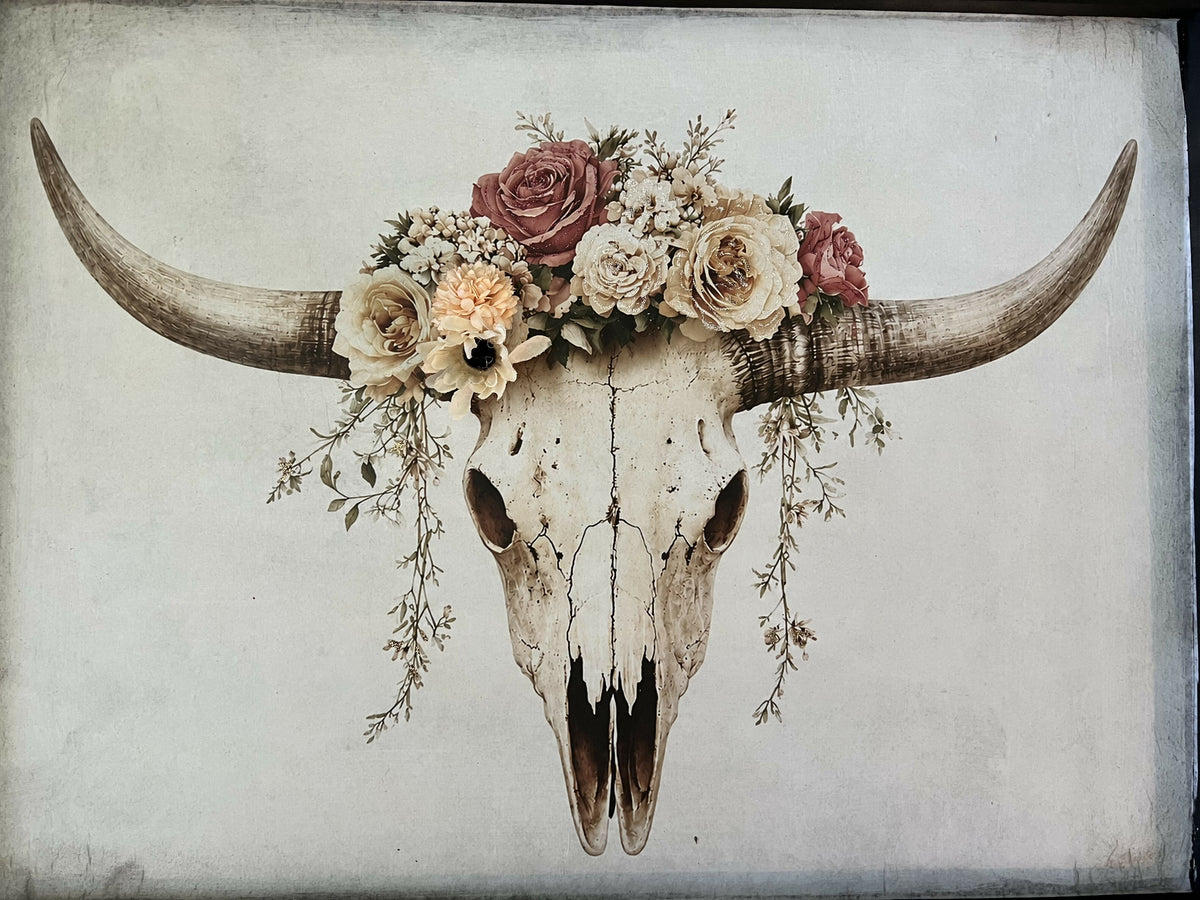 Bull skull small