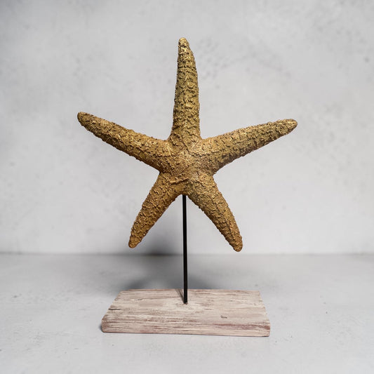Starfish Decor