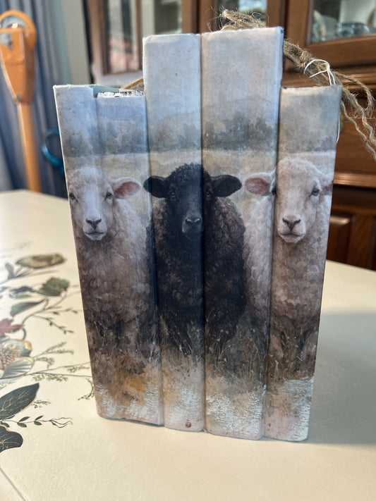Sheep Books