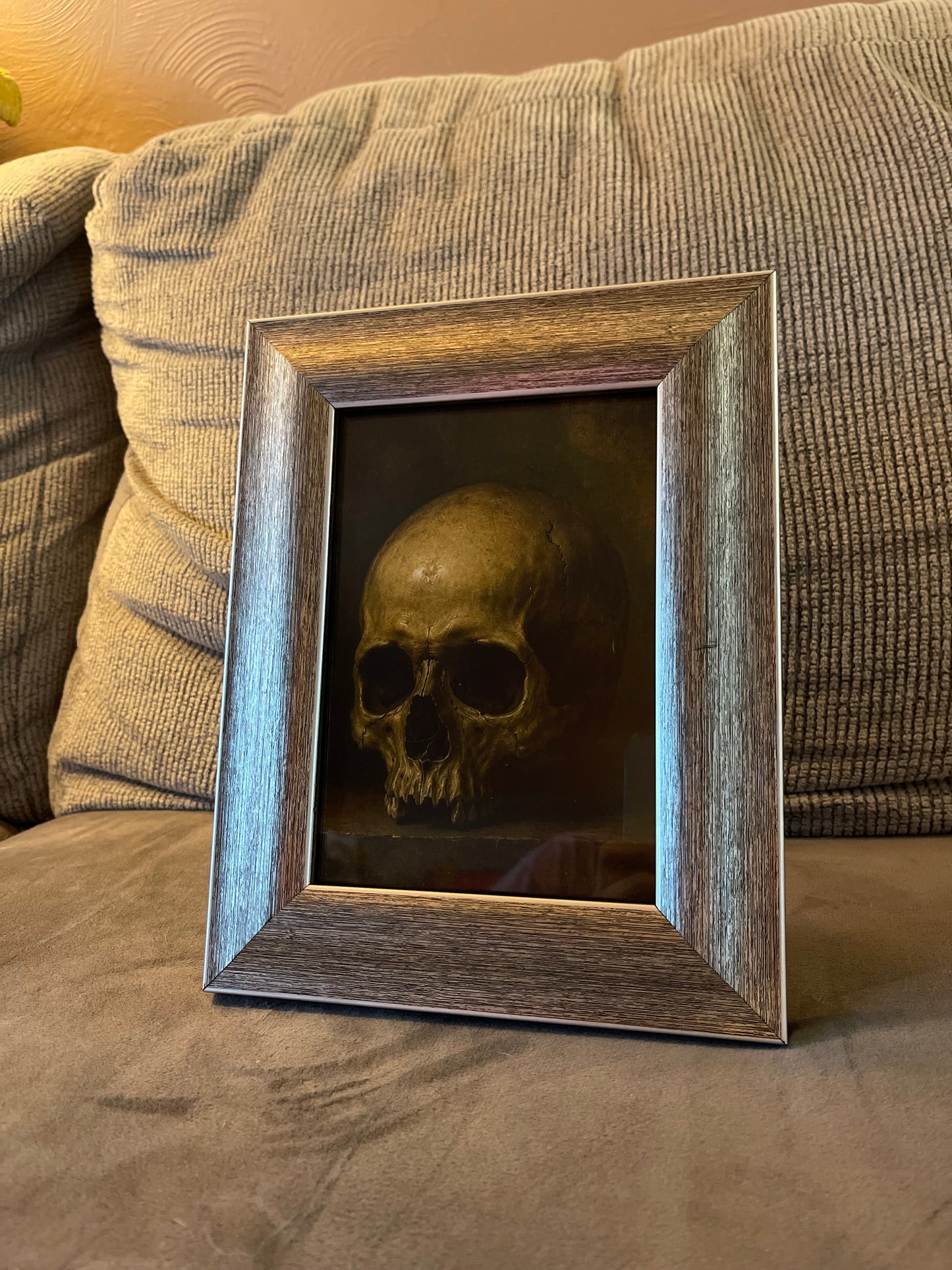 Skull in premium frame