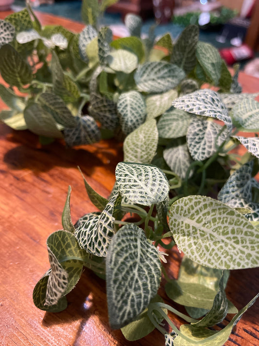 House Plant Garland