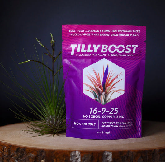 Tilly Boost Air Plant Fertilizer