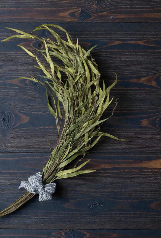 Jade Willow Branch Stems