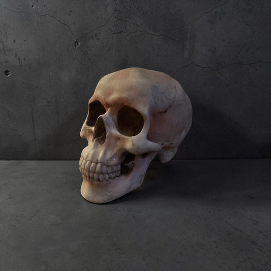 Replica Human Skull Statue Home Décor
