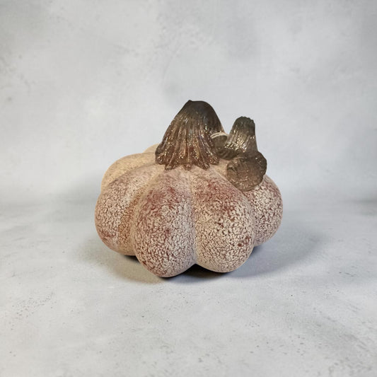 Pink Frosted Pumpkin