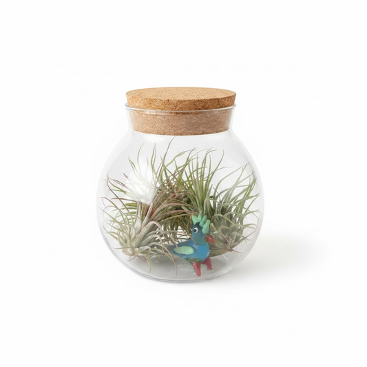 Bird Terrarium with live plants