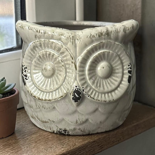 Glazed Ceramic Owl Figurine Decor