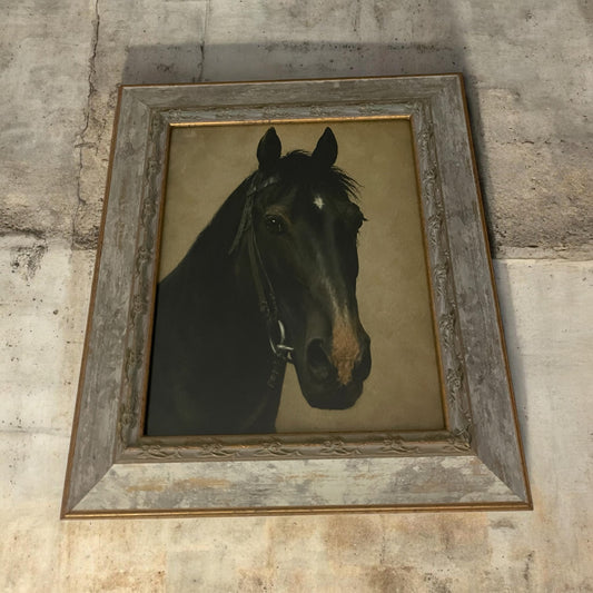 Vintage-Style Black Horse Portrait