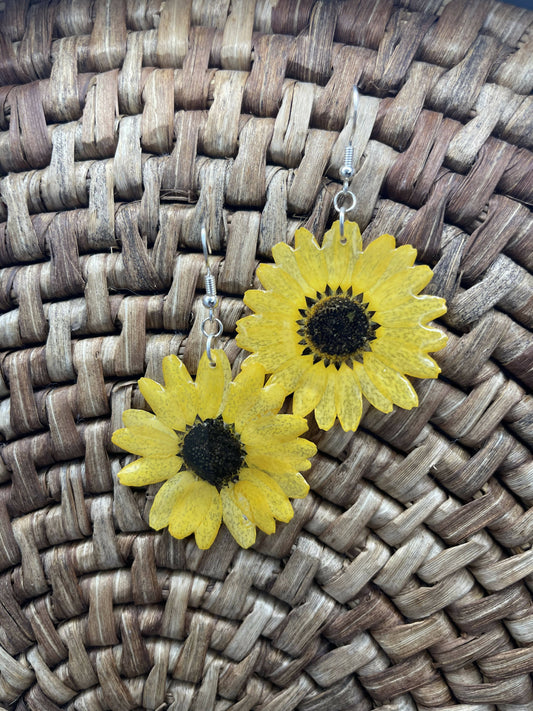 Dried Yellow Daisy Earrings