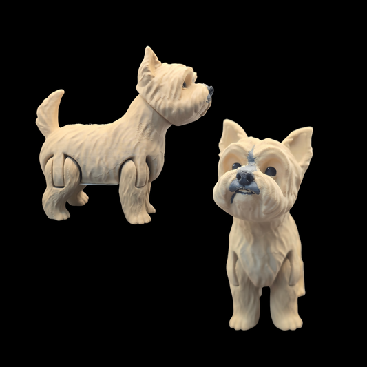 Yorkie