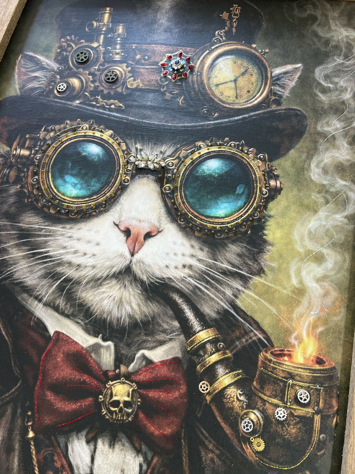 Steam Cat