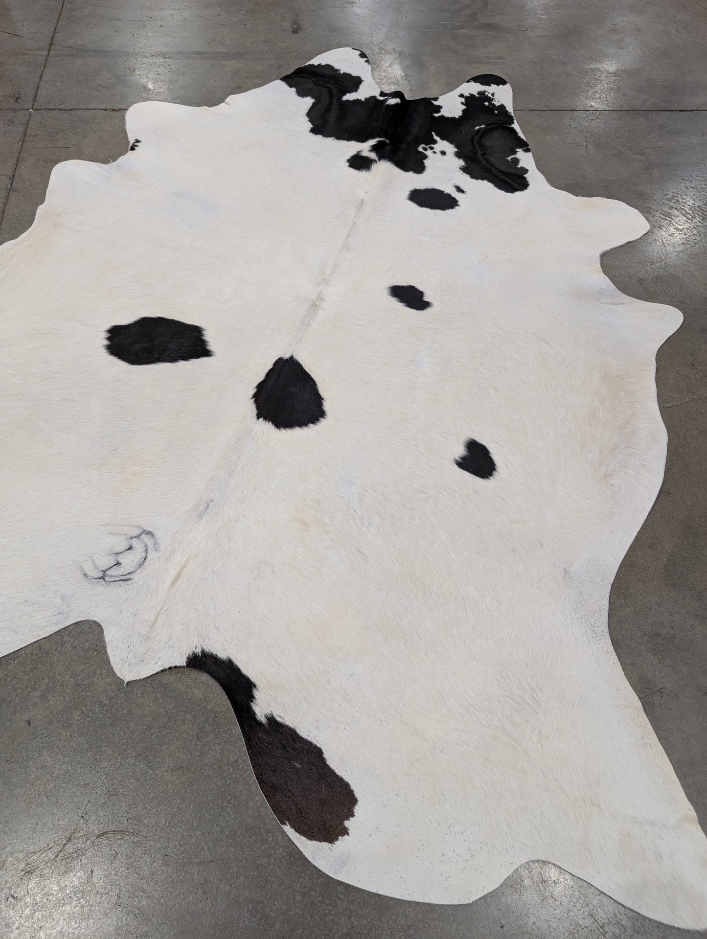 "Marvel" Cowhide