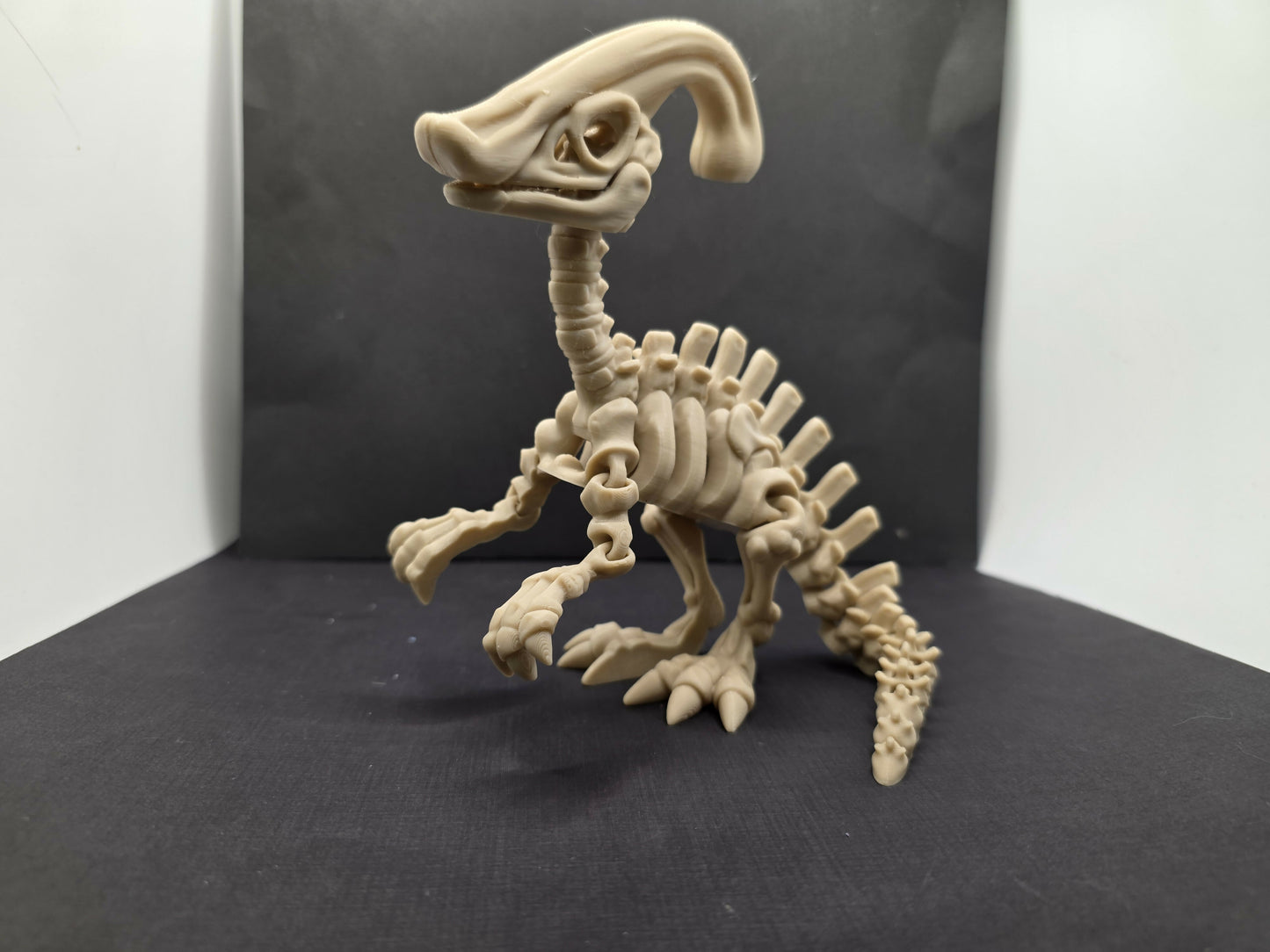 Parasaurolophus