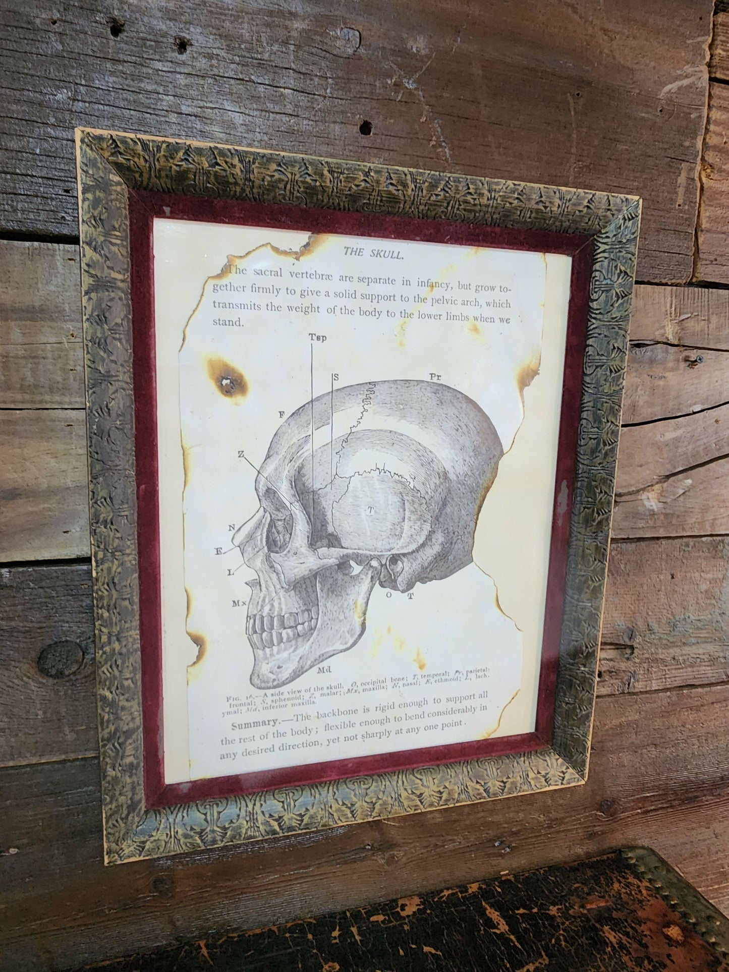The Skull photo in Rustic Frame