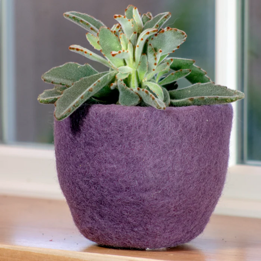 Felt Pot: Cozy Anethyst
