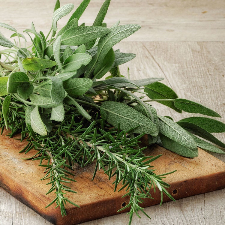 Rosemary + Sage - REED DIFFUSER, Herbal Aromatherapy Home Fragrance