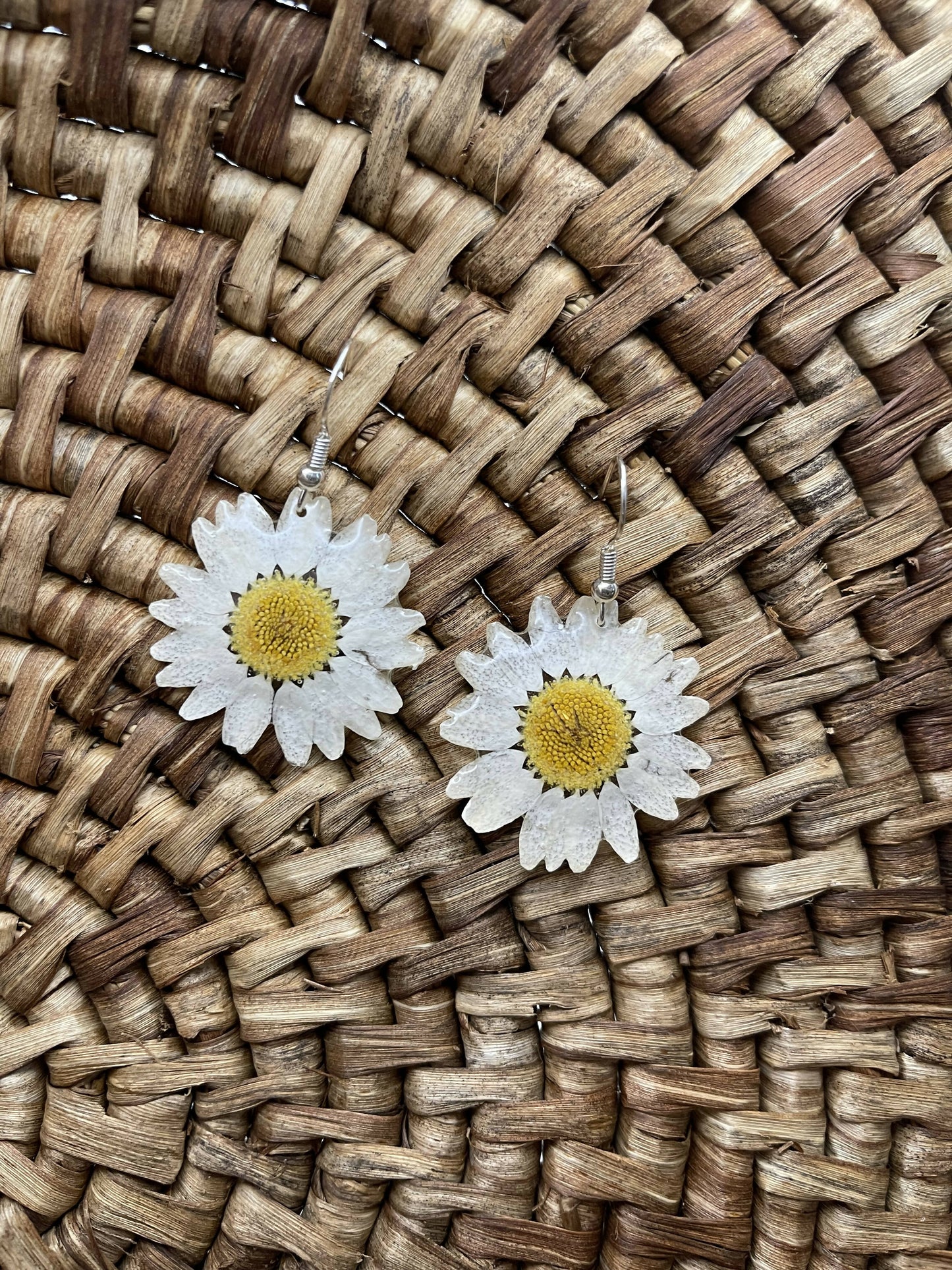 Dried Daisy Earrings