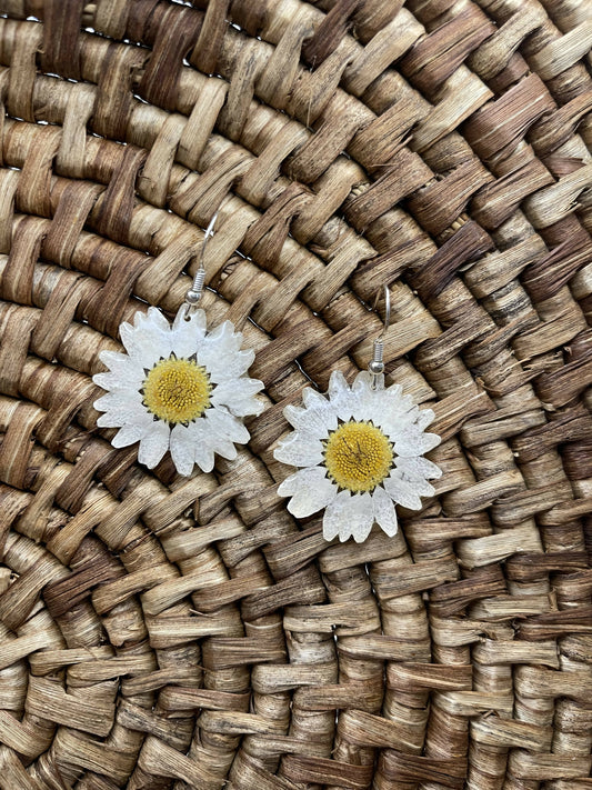 Dried Daisy Earrings