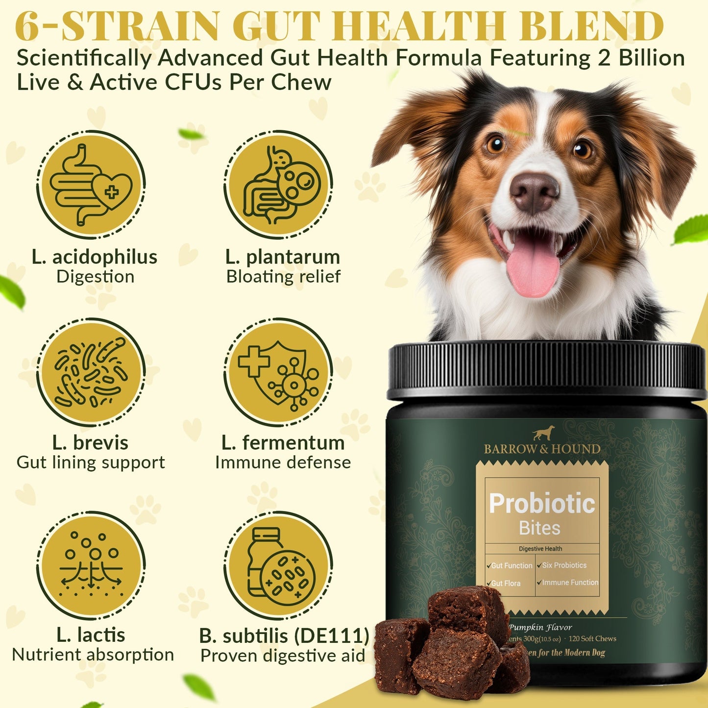 Probiotic Bites for Dogs – Gut Health & Digestive Support
