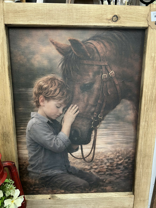 Meadow friends boy