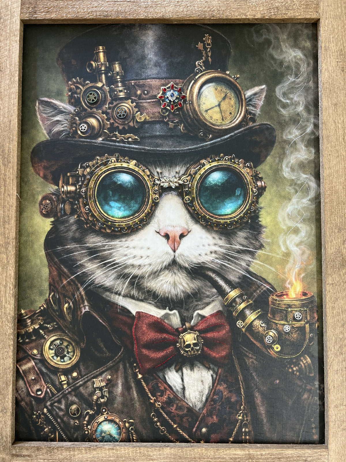 Steam Cat