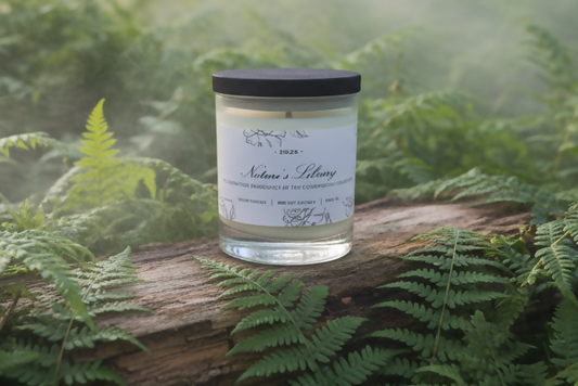 “Nature’s Library” Candle