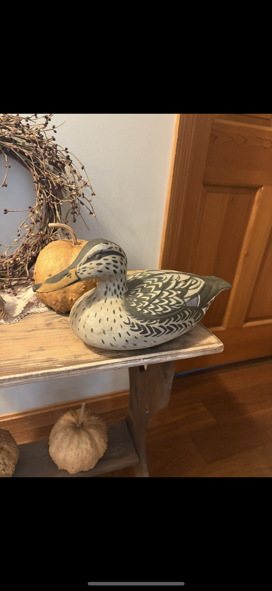 Decoy Duck
