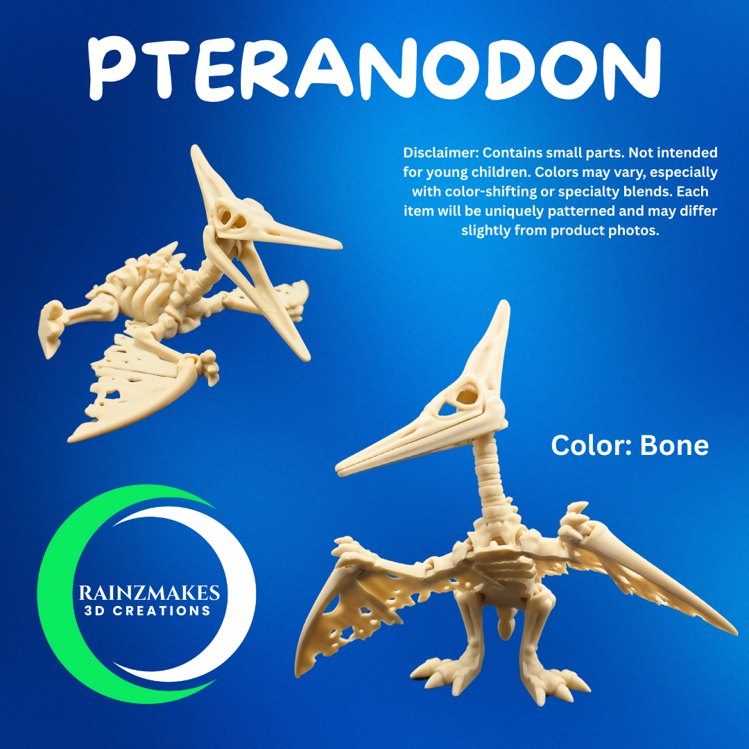 Pteranodon (1)